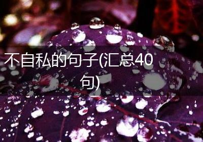 不自私的句子(汇总40句)