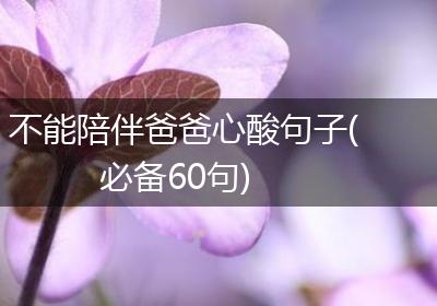 不能陪伴爸爸心酸句子(必备60句)