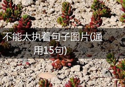 不能太执着句子图片(通用15句)