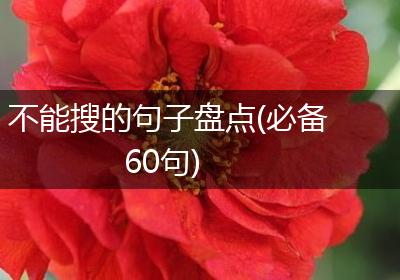 不能搜的句子盘点(必备60句)