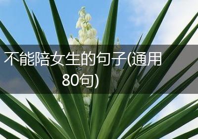 不能陪女生的句子(通用80句)