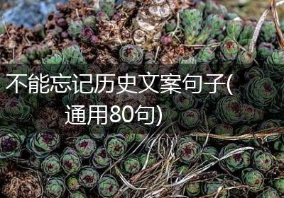 不能忘记历史文案句子(通用80句)