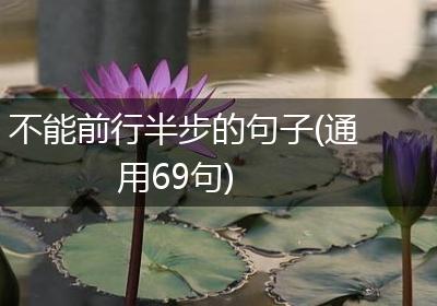 不能前行半步的句子(通用69句)