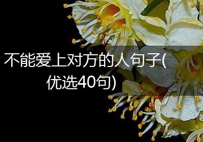 不能爱上对方的人句子(优选40句)