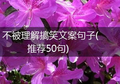 不被理解搞笑文案句子(推荐50句)