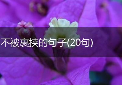 不被裹挟的句子(20句)