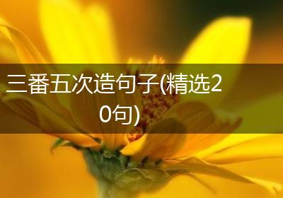 三番五次造句子(精选20句)