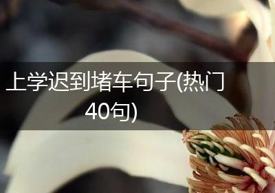 上学迟到堵车句子(热门40句)
