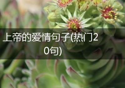 上帝的爱情句子(热门20句)
