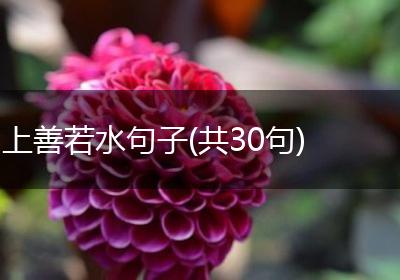 上善若水句子(共30句)