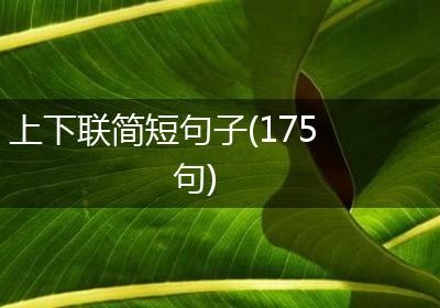 上下联简短句子(175句)