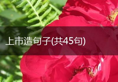 上市造句子(共45句)