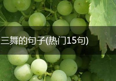 三舞的句子(热门15句)