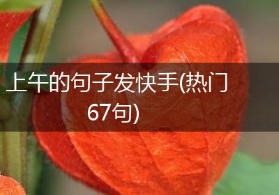 上午的句子发快手(热门67句)