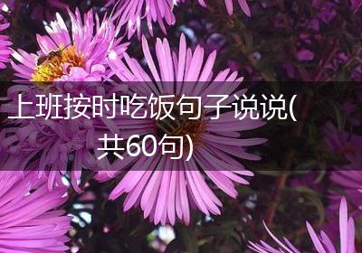 上班按时吃饭句子说说(共60句)
