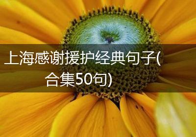 上海感谢援护经典句子(合集50句)
