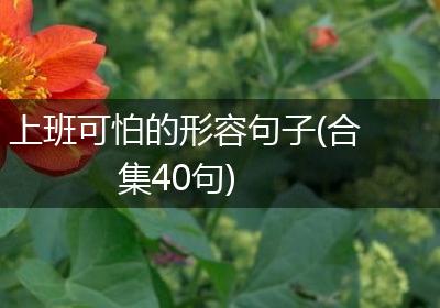 上班可怕的形容句子(合集40句)