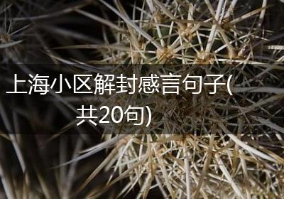 上海小区解封感言句子(共20句)