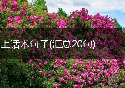 上话术句子(汇总20句)