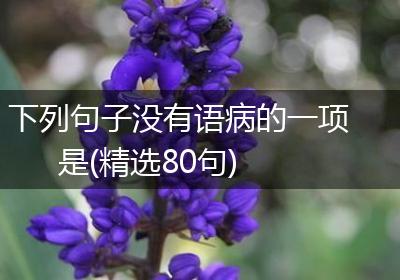 下列句子没有语病的一项是(精选80句)