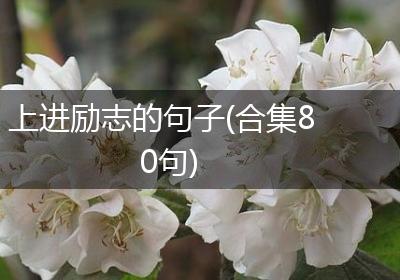 上进励志的句子(合集80句)