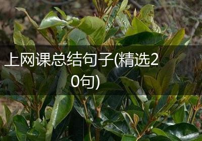 上网课总结句子(精选20句)