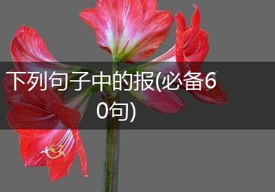 下列句子中的报(必备60句)