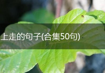 上走的句子(合集50句)