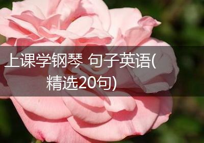 上课学钢琴 句子英语(精选20句)