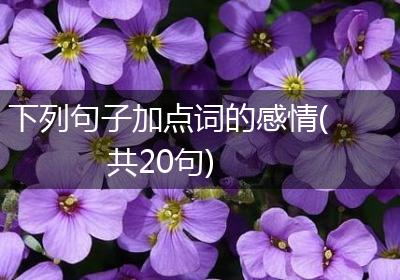 下列句子加点词的感情(共20句)