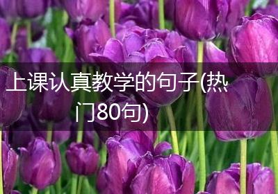 上课认真教学的句子(热门80句)