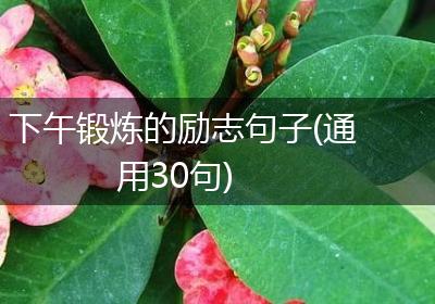 下午锻炼的励志句子(通用30句)