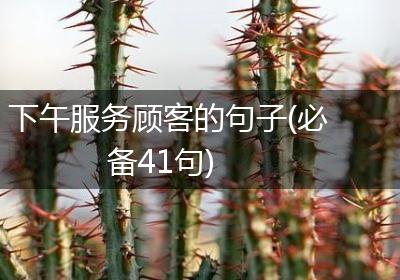 下午服务顾客的句子(必备41句)