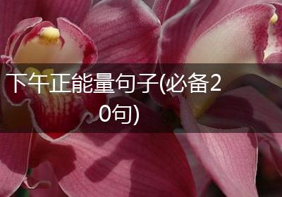 下午正能量句子(必备20句)
