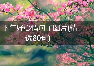 下午好心情句子图片(精选80句)