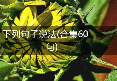 下列句子说法(合集60句)