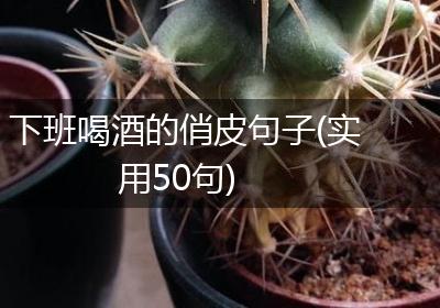 下班喝酒的俏皮句子(实用50句)
