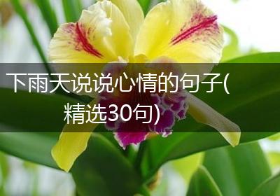下雨天说说心情的句子(精选30句)