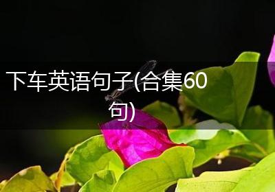 下车英语句子(合集60句)