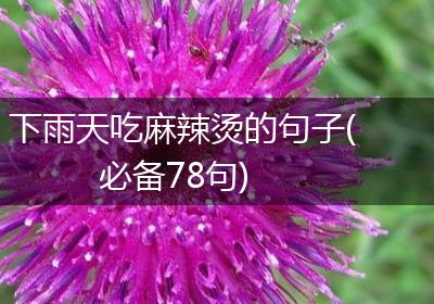 下雨天吃麻辣烫的句子(必备78句)