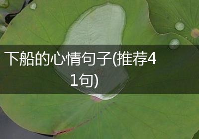 下船的心情句子(推荐41句)