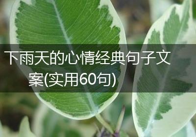 下雨天的心情经典句子文案(实用60句)