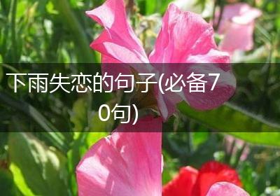 下雨失恋的句子(必备70句)