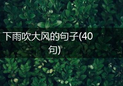 下雨吹大风的句子(40句)