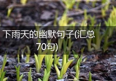 下雨天的幽默句子(汇总70句)