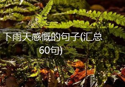 下雨天感慨的句子(汇总60句)