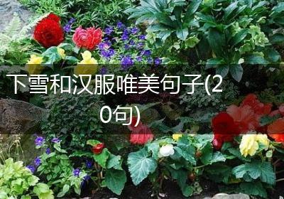 下雪和汉服唯美句子(20句)