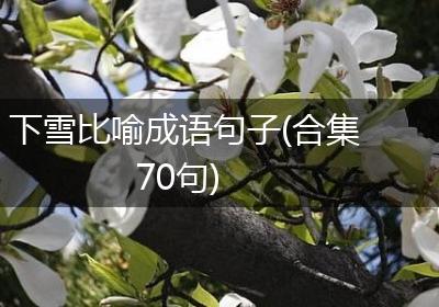 下雪比喻成语句子(合集70句)