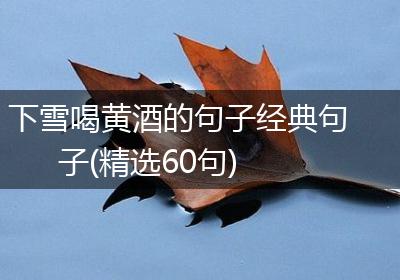 下雪喝黄酒的句子经典句子(精选60句)