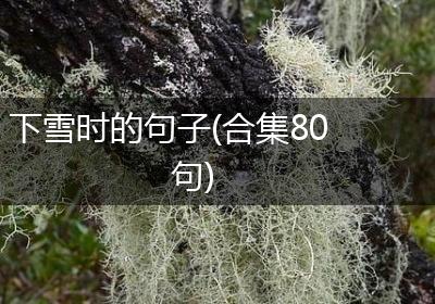 下雪时的句子(合集80句)